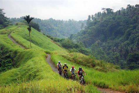 Asrama View Downtown Ubud (Bali)
